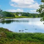 Gemini_Generated_Image_8vmgn08vmgn08vmg