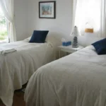 Gemini_Generated_Image_x8h3y1x8h3y1x8h3 (1)